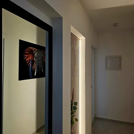 Mary Deluxe Bužinija